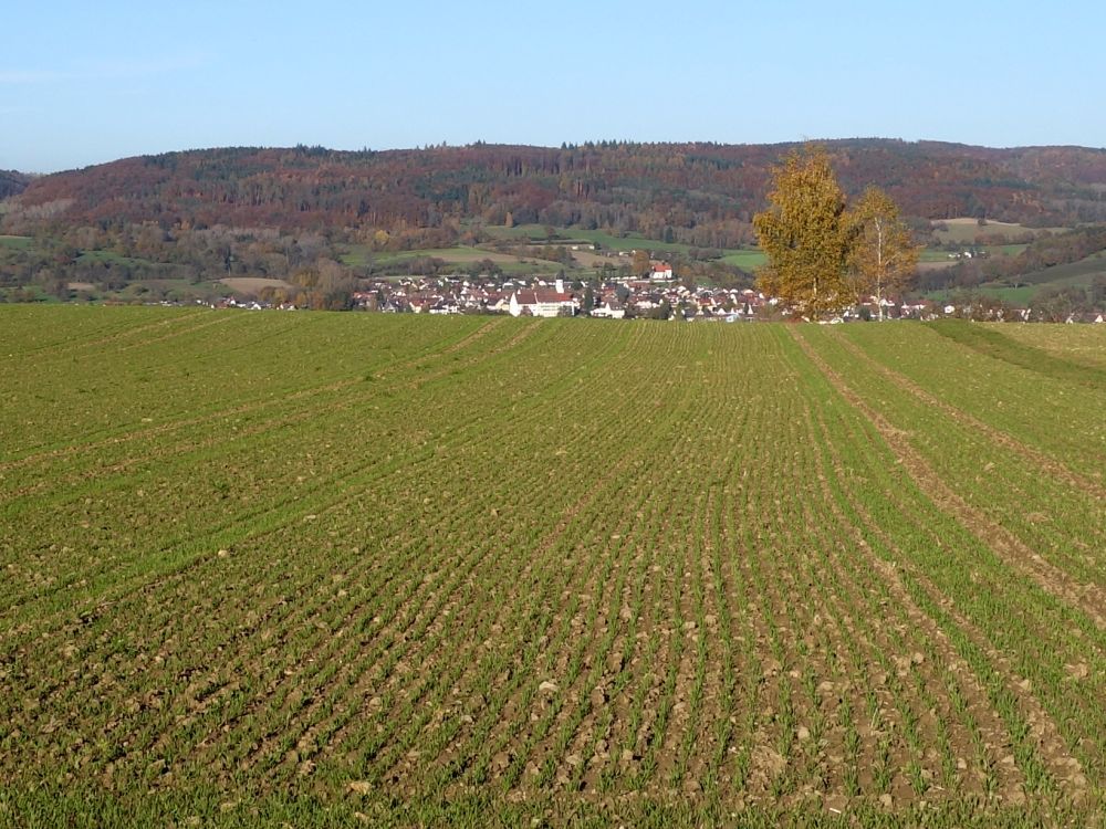 Blick Richtung hningen