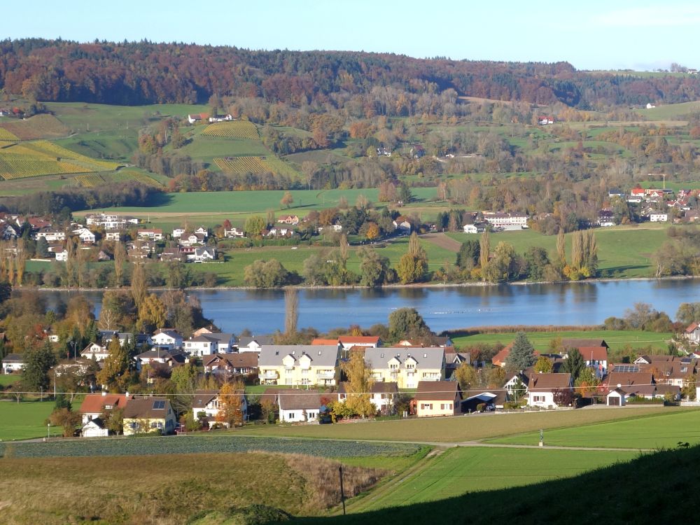 Eschenz und Rhein