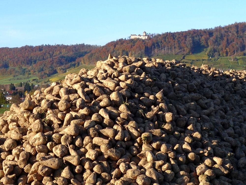 Hohenklingen ber Rbenberg