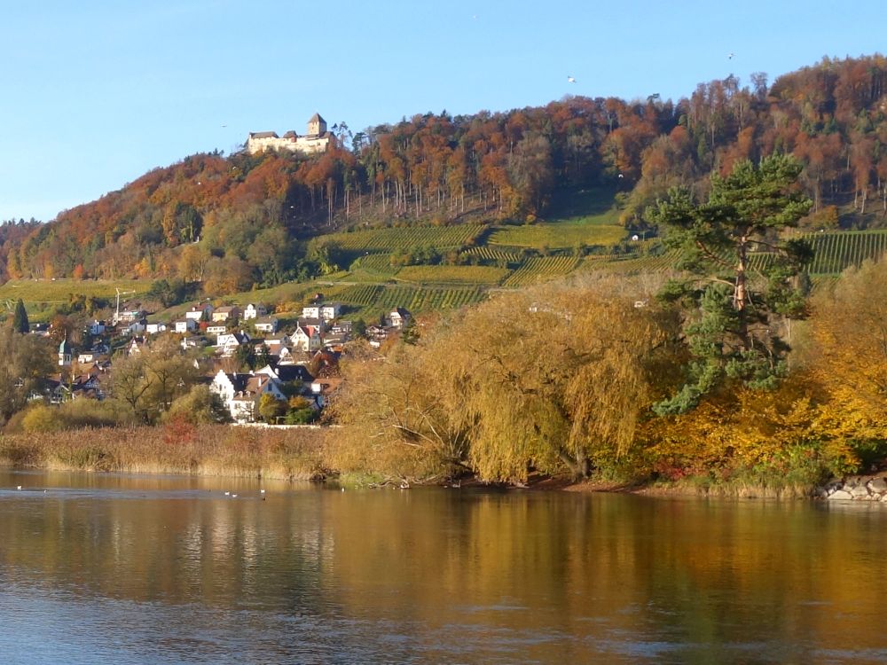 Stein am Rhein mit Hohenklingen