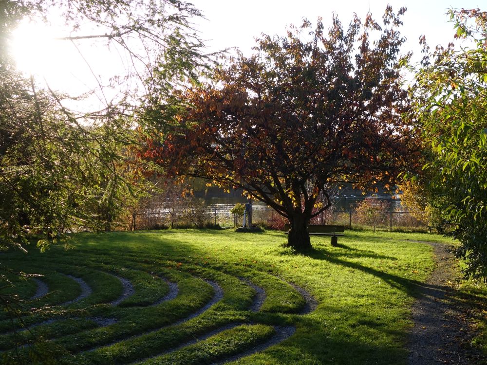 Garten auf Insel Werd