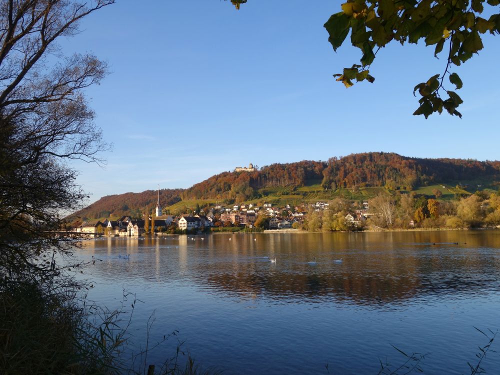 Stein am Rhein mit Hohenklingen