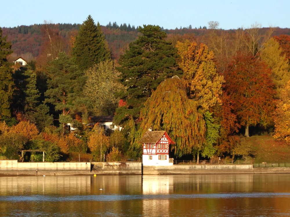 Häuschen am Rhein