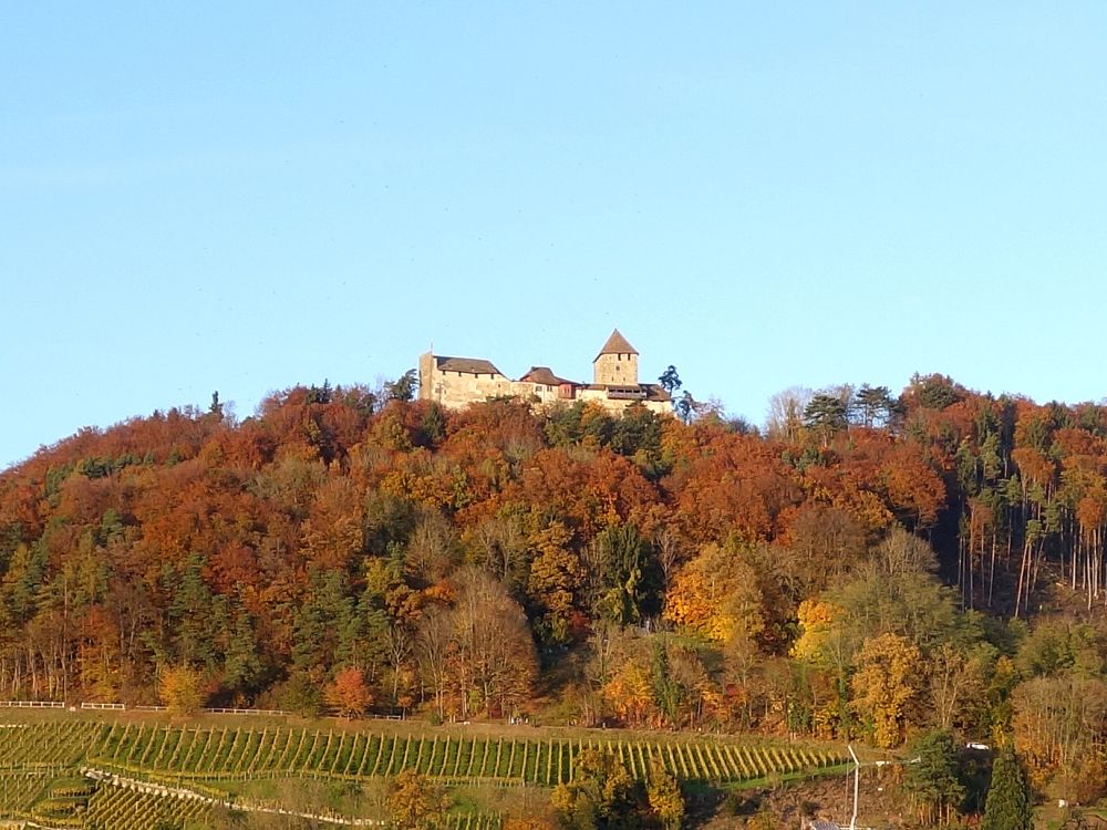Schloss Hohenklingen