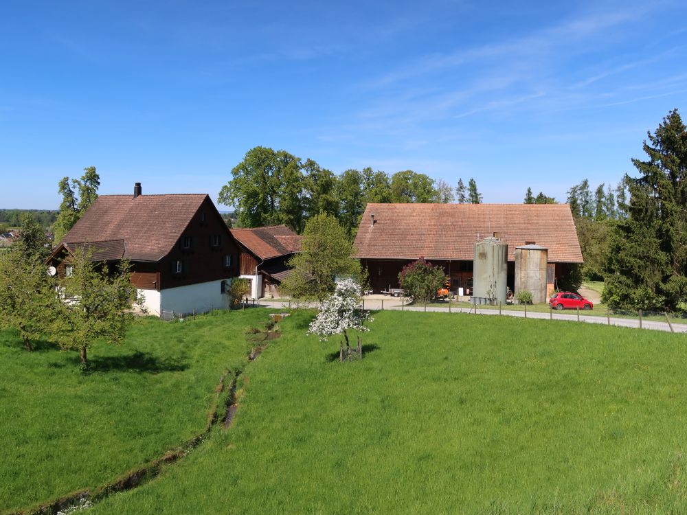 Zur Baumühle