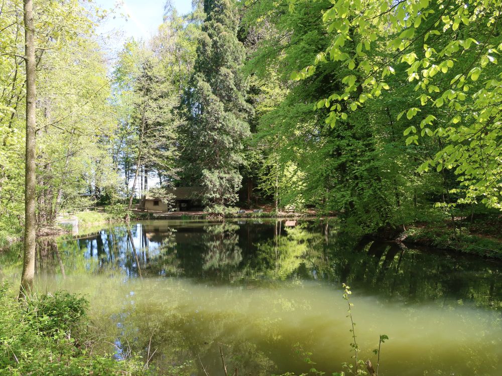 Sägeweiher