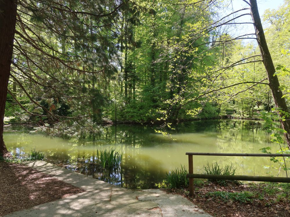 Sägeweiher