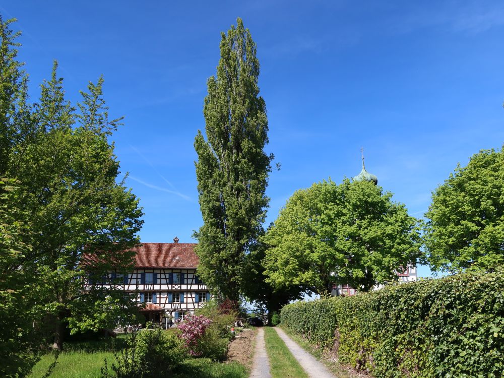 Schloss Hahnberg