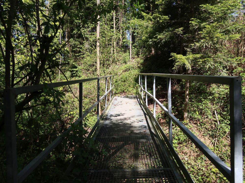 Eisensteg