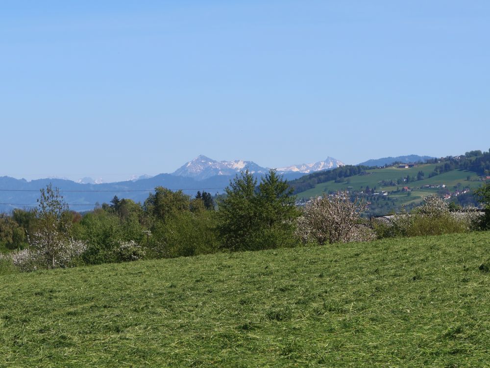 Winterstaude und Hoher Ifen
