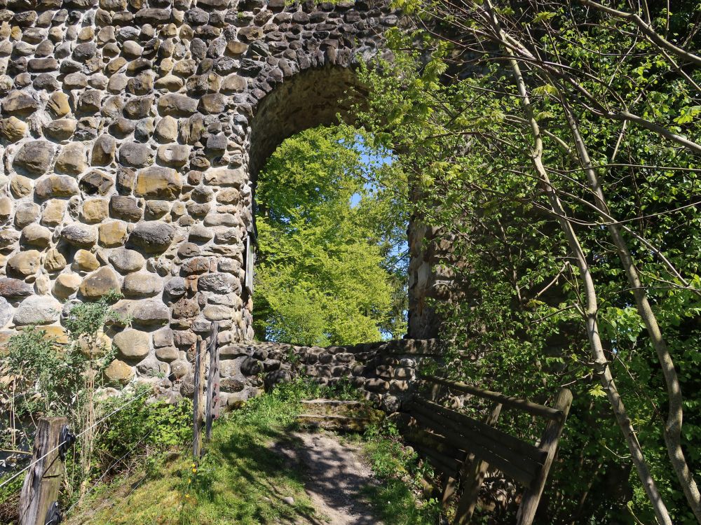 Ruine Steinerburg