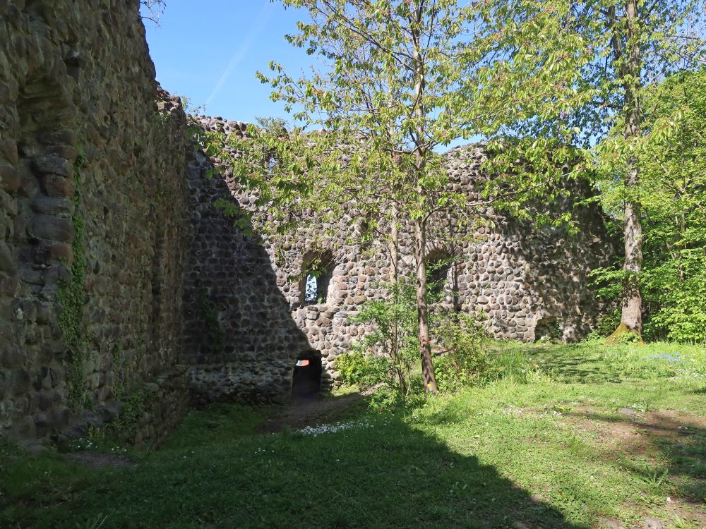 Ruine Steinerburg
