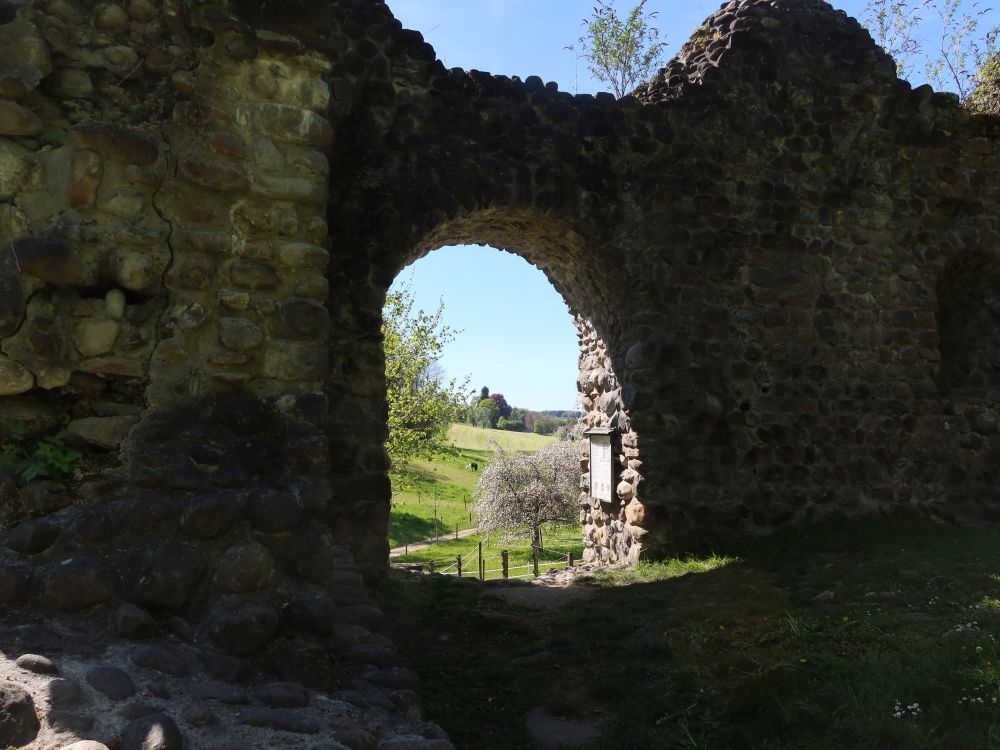 Ruine Steinerburg