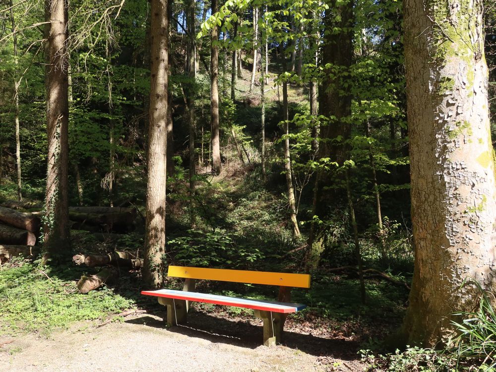 bunte Sitzbank