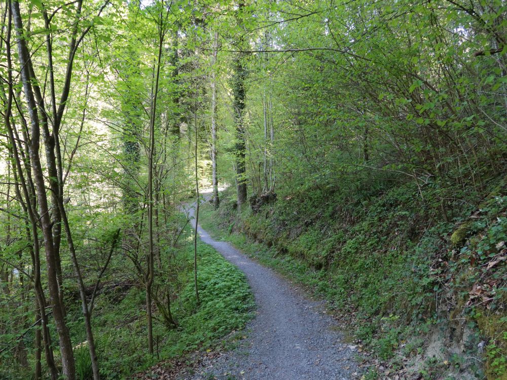 Nonnenstegweg