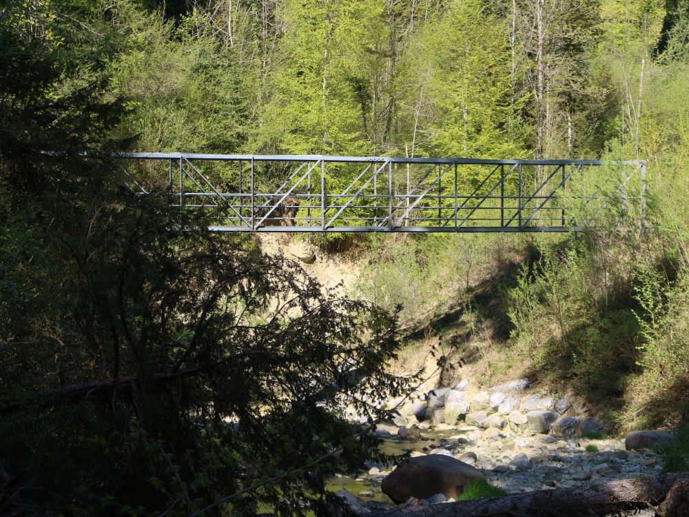 Nonnensteg