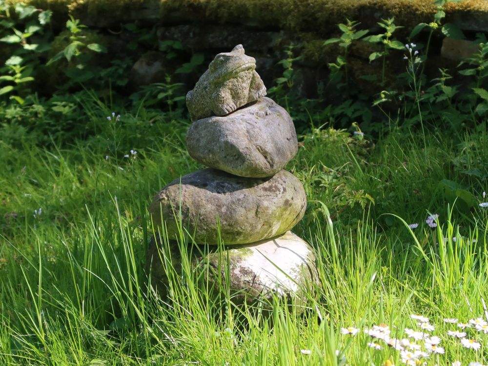versteinerter Frosch