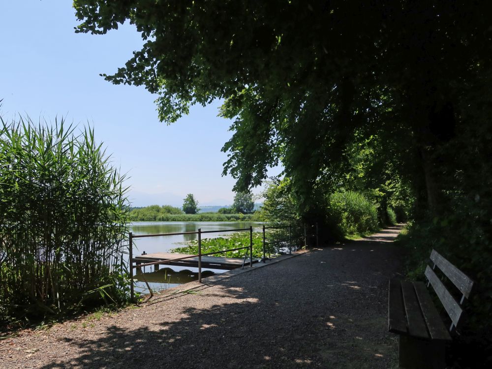 Sitzbank am Steinibüelweiher