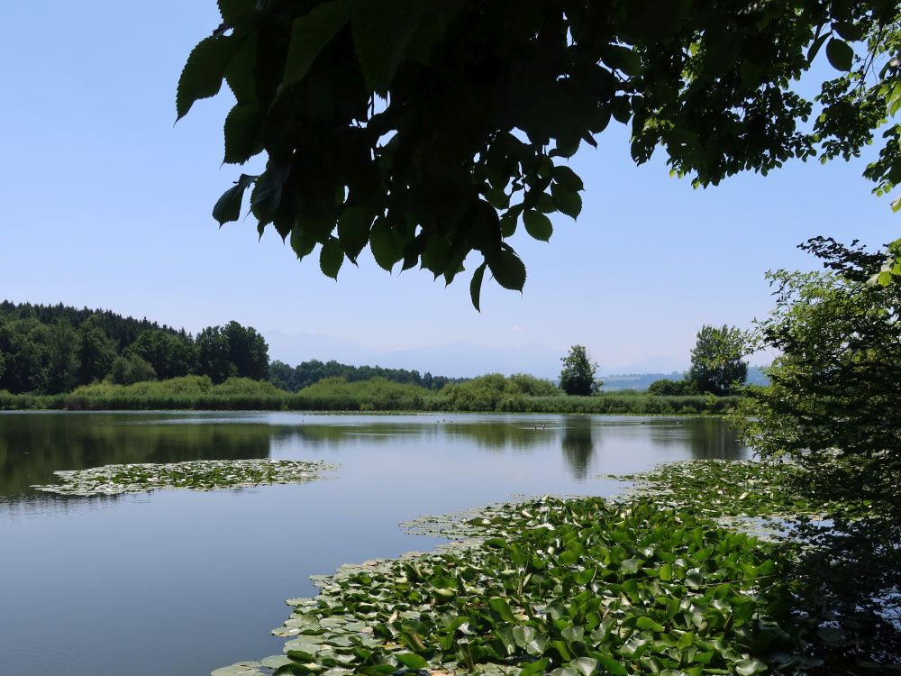 Steinibüelweiher