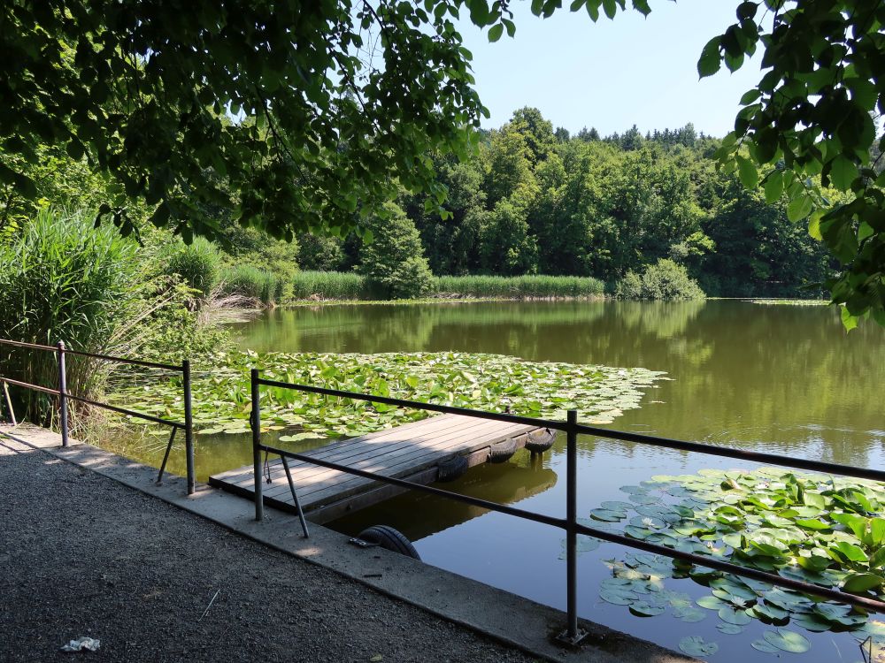Steg am Steinibüelweiher