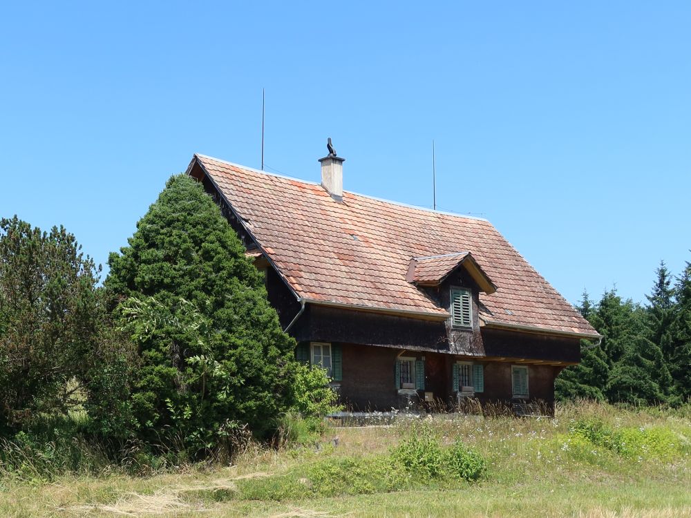 alter Bauernhof Honrich