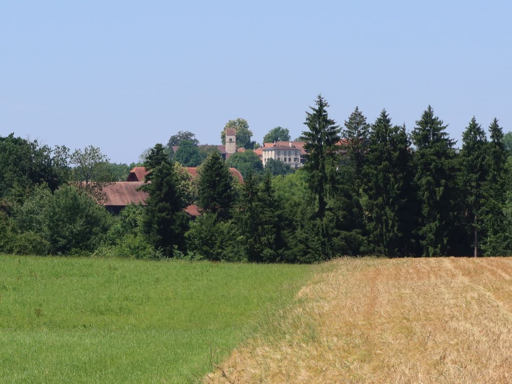 Blick Richtung Kirchbühl