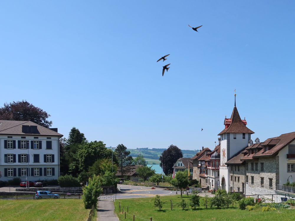 Stadtschulhaus und Luzernertor
