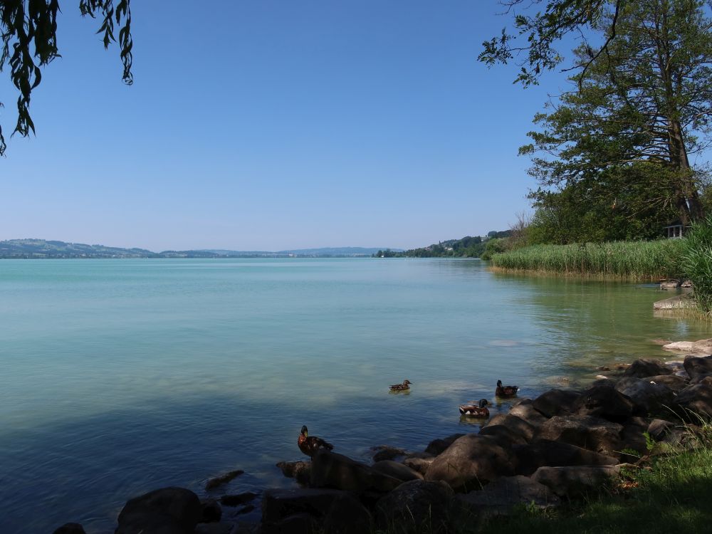 Sempachersee