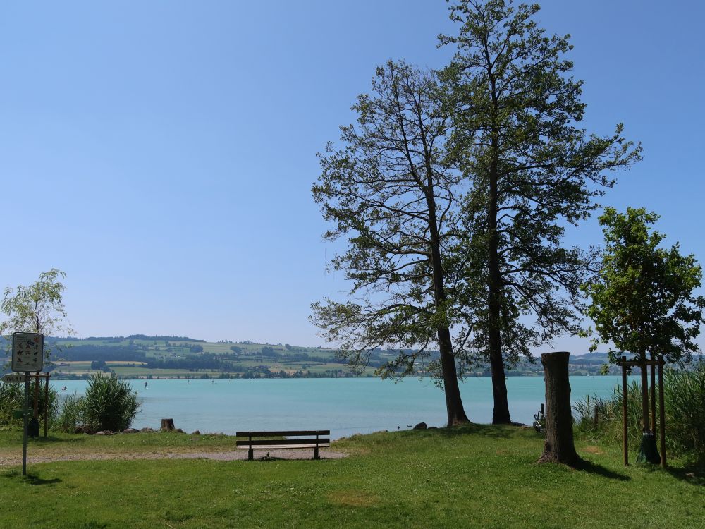 Sitzbank am Sempachersee