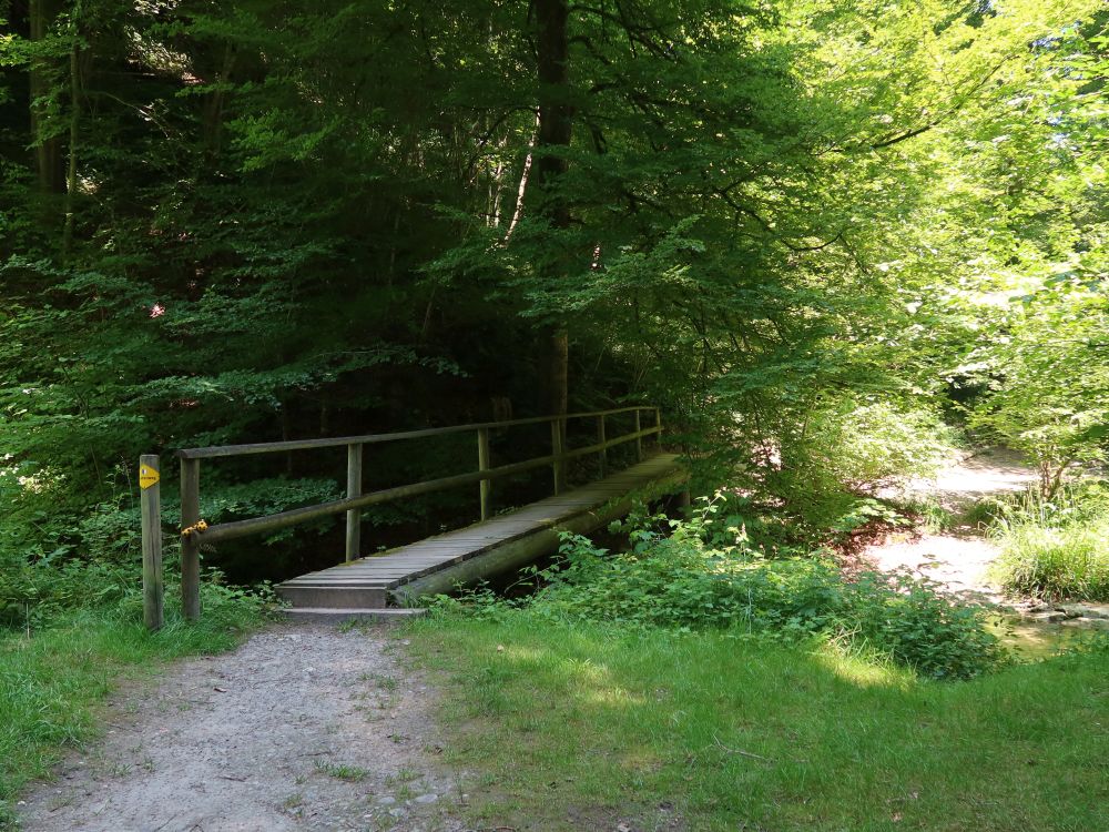 Steg am Meierhofbach