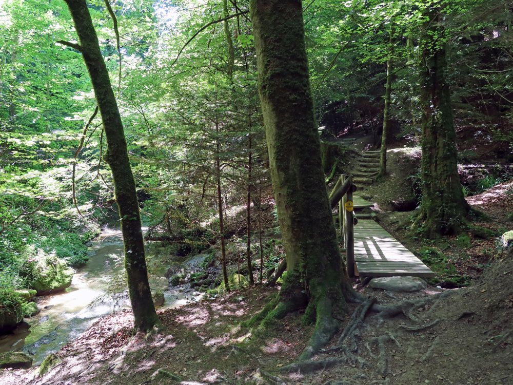 Holzsteg im Mülital