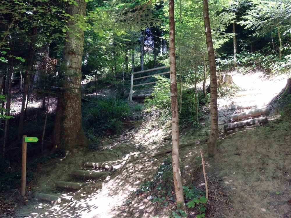 Treppe am Fuchspfad