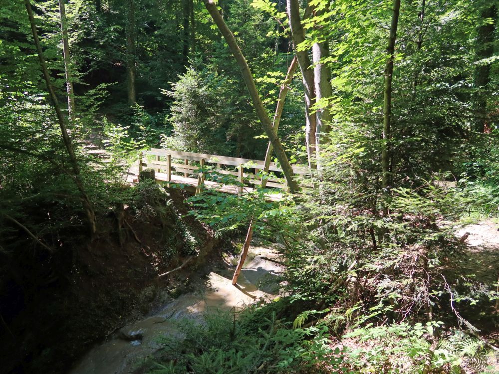 Steg im Nüberechtobel