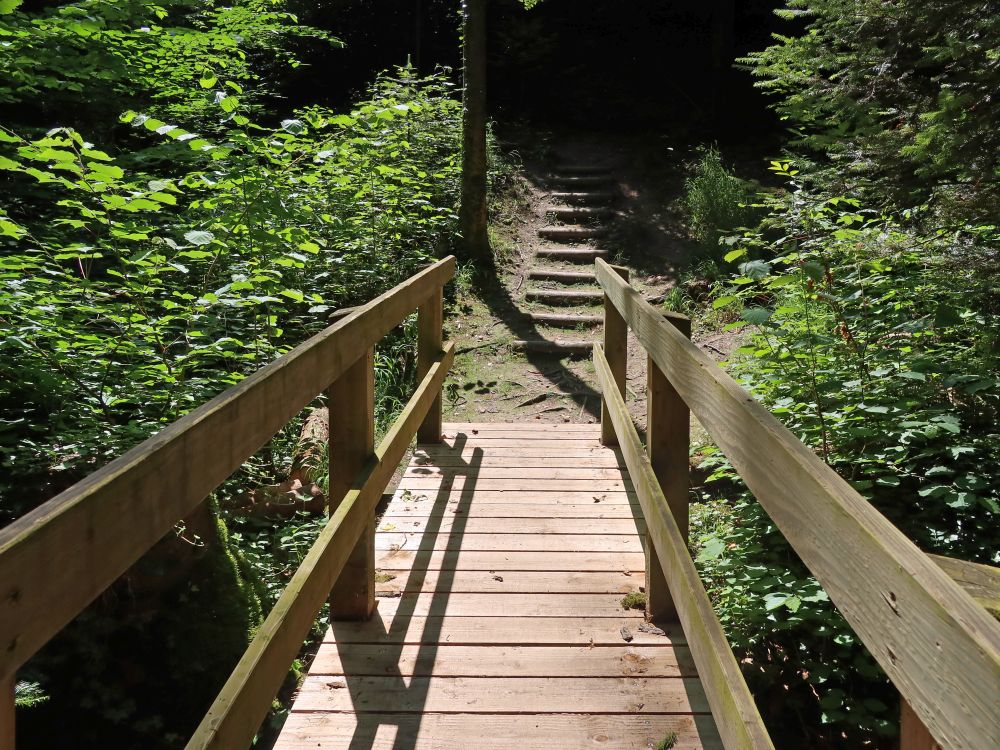 Steg und Treppe