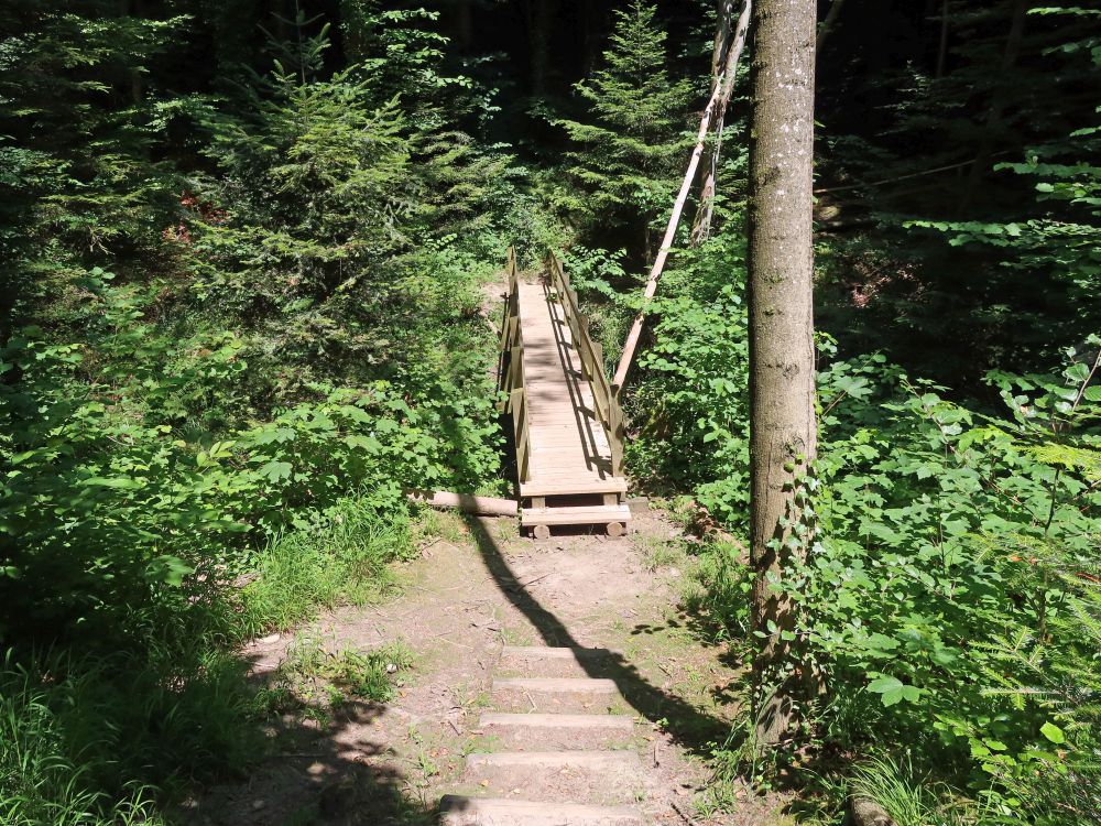 Steg und Treppe