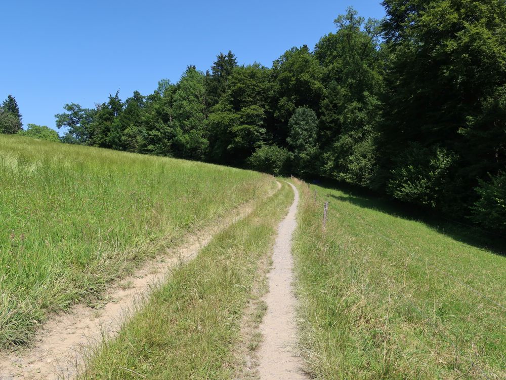 Weg am Waldrand bei Rorig