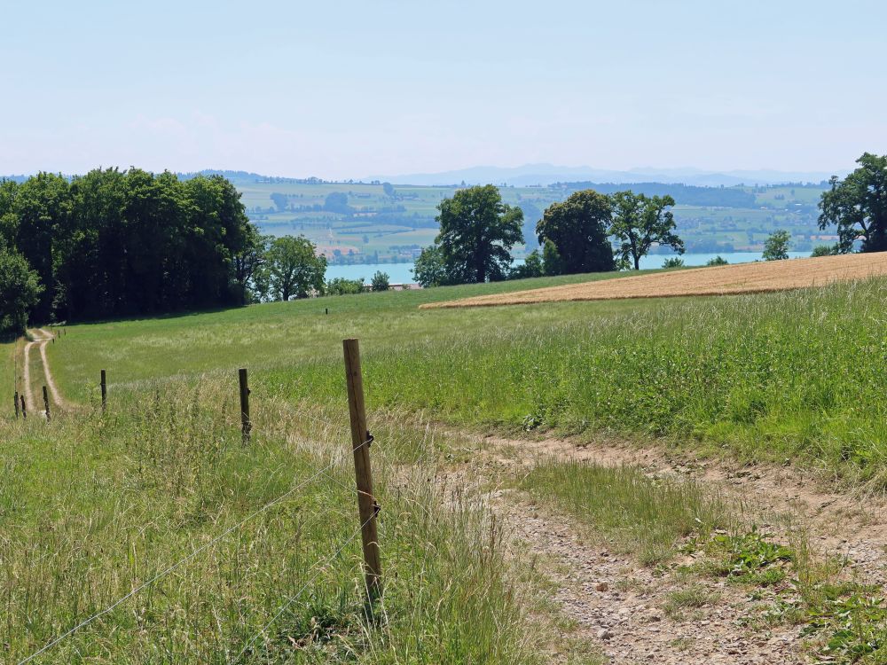 Blick zum Sempachersee