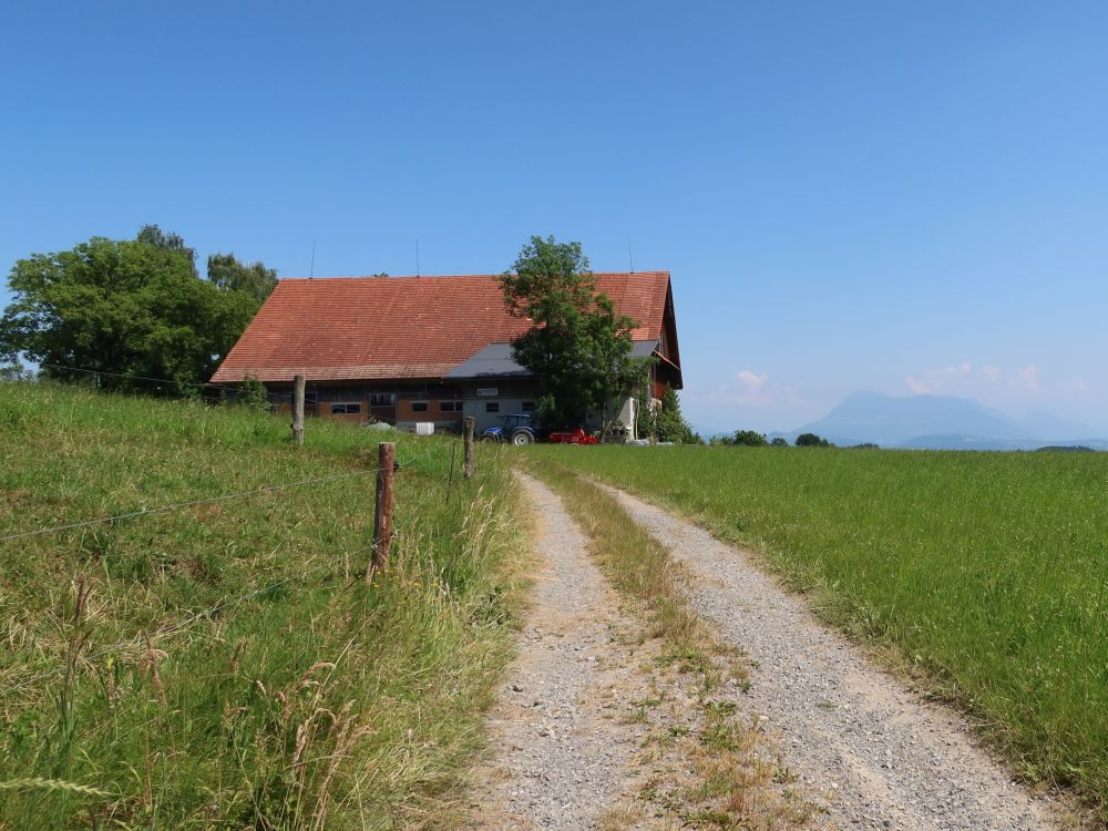 Stockhof und Pilatus