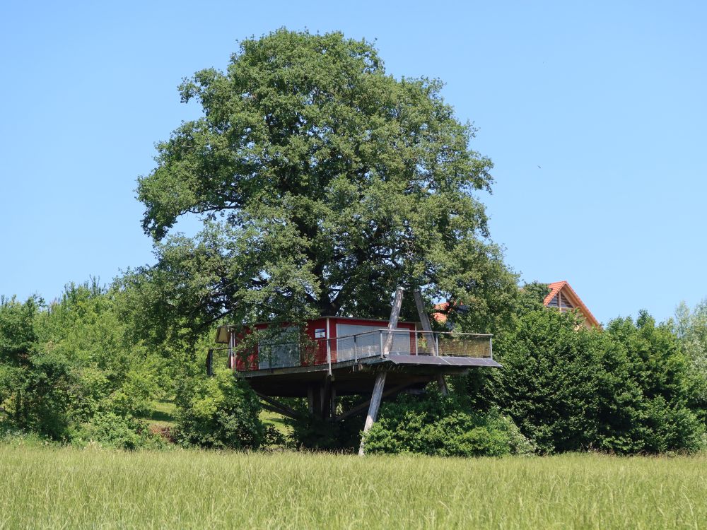 Baumhaus