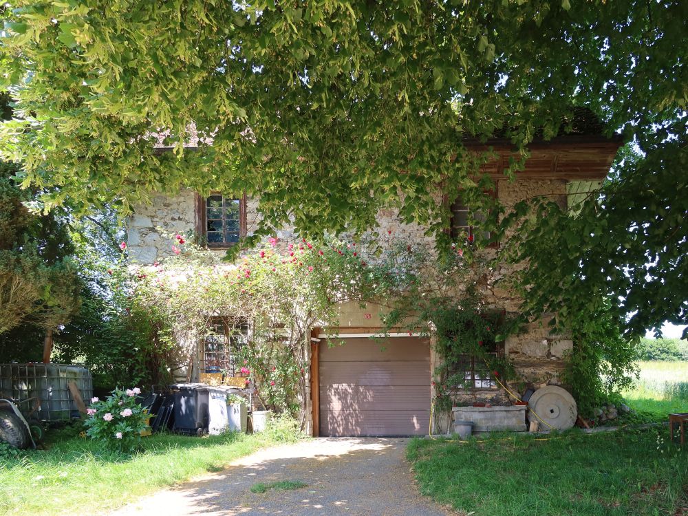 altes Haus am Stockhof
