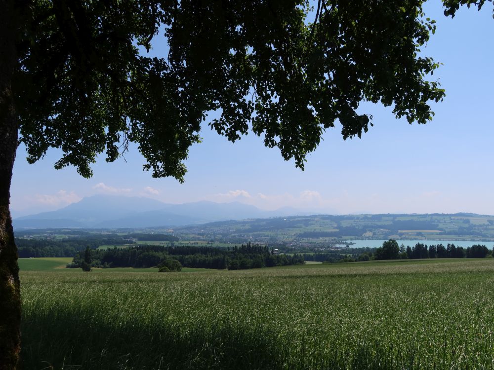 Pilatus und Sempachersee