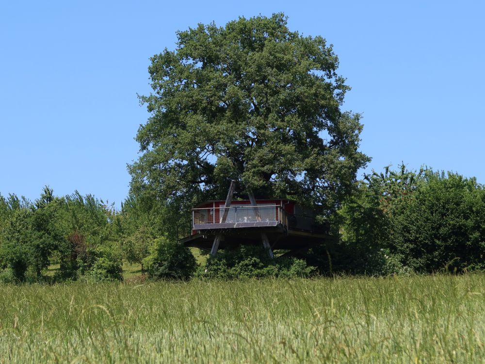 Baumhaus