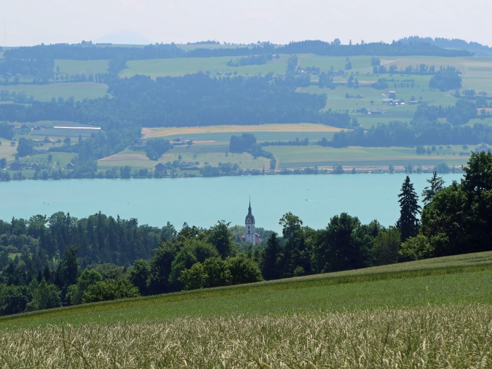 Sempachersee mit Sempacher Kirche