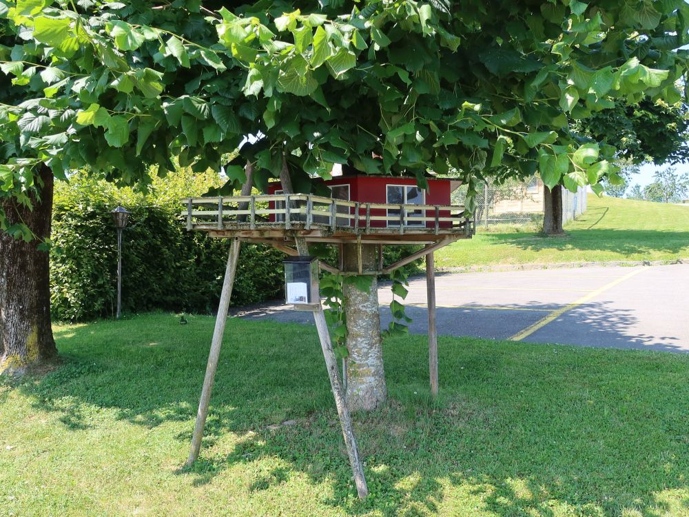 Modell des Baumhauses