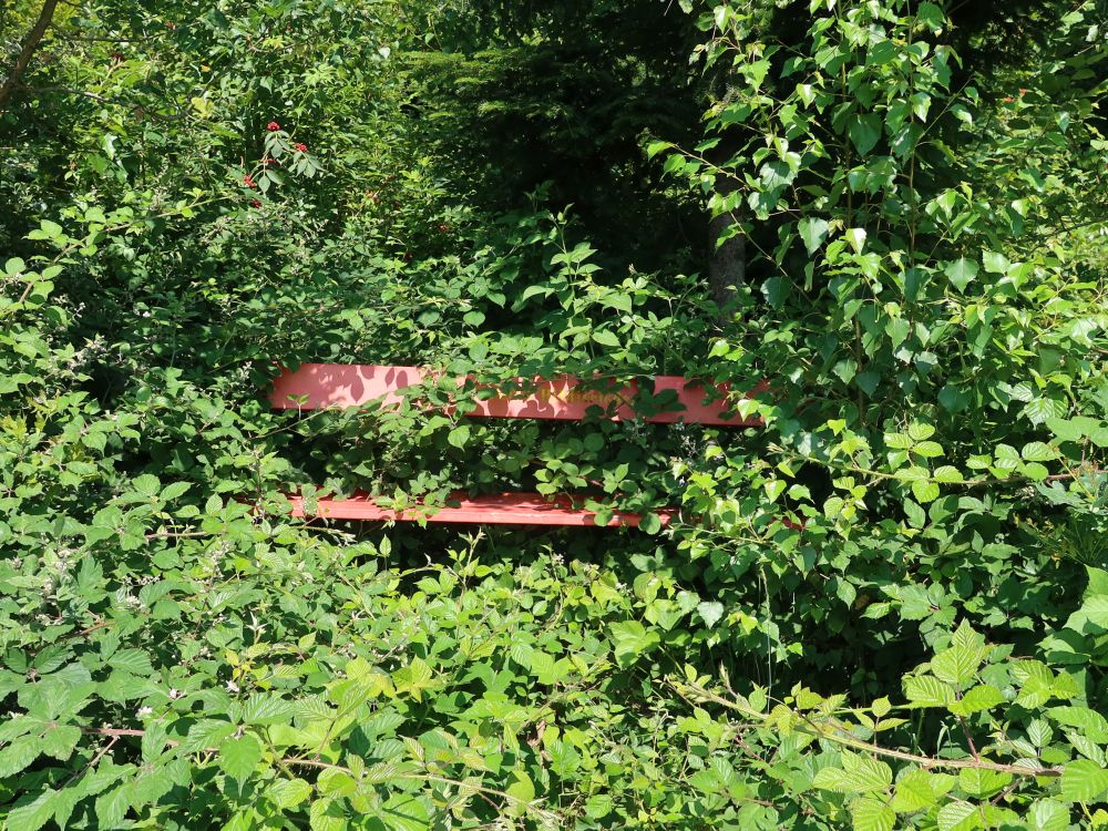 zugewachsene Sitzbank