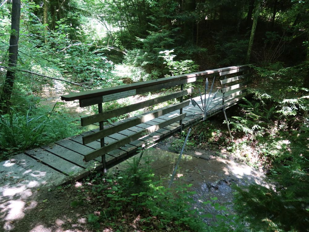 Steg im Meierholz
