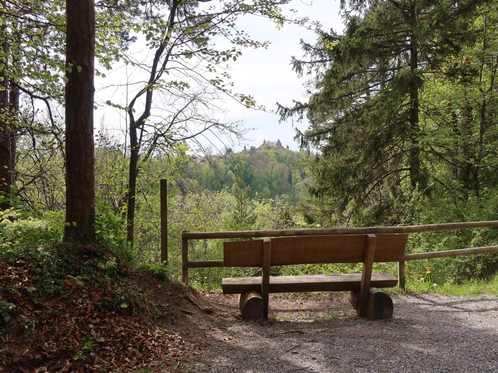 Sitzbank mit Blick zur Kyburg