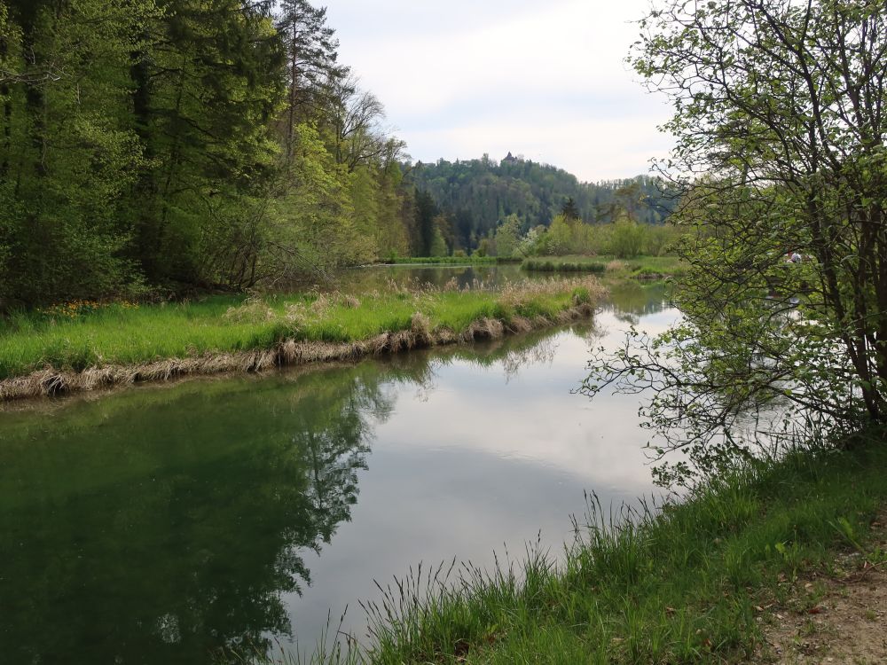 Teich am Wasserkraftwerk