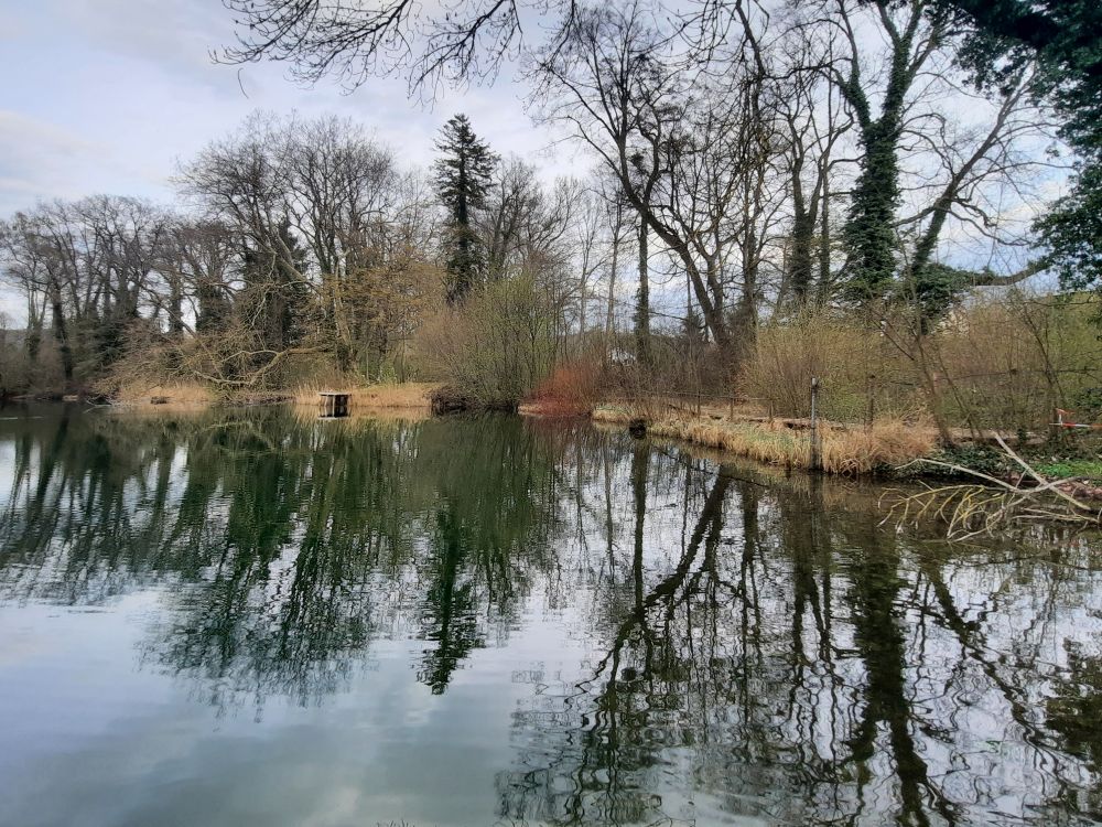 Steisslinger See                                                                                   