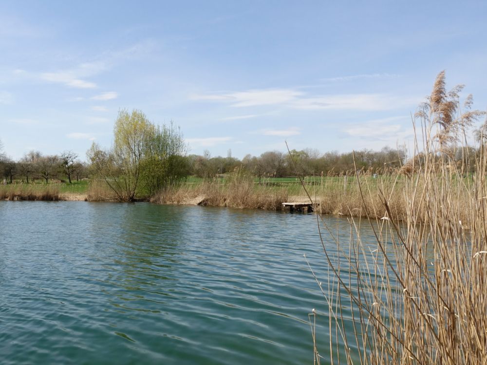 Steisslinger See